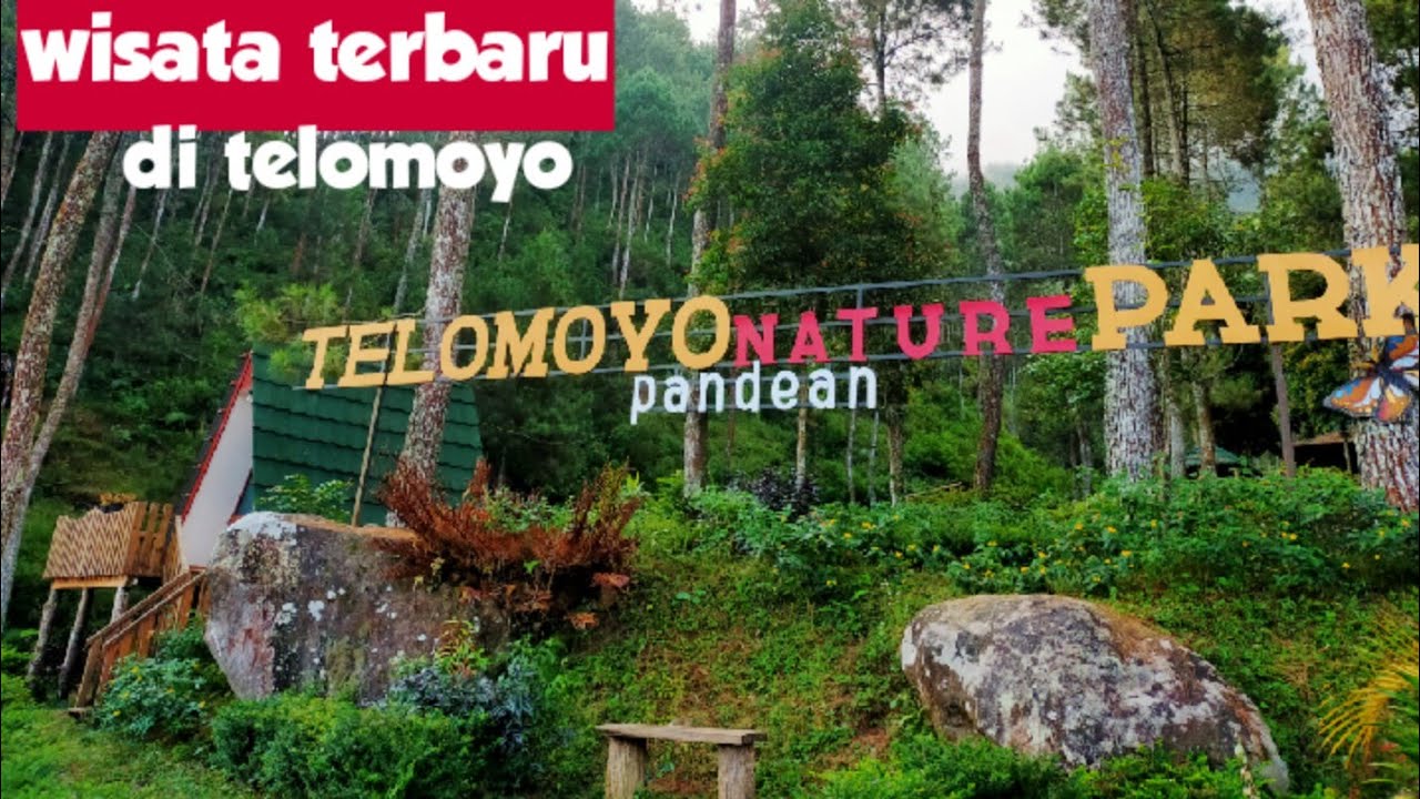 Telomoyo Nature Park: Menikmati Pesona Alam dan Keindahan Gunung